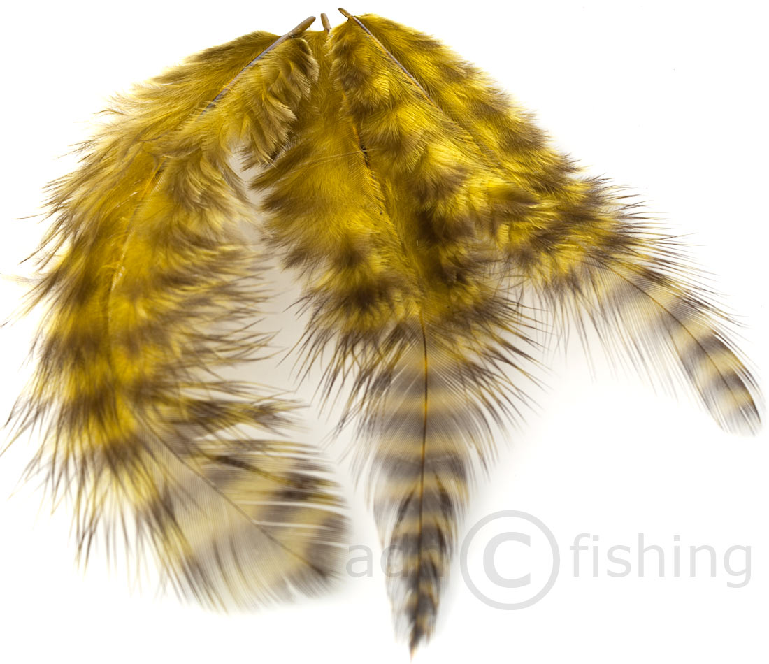 grizzly-soft-hackle-olive-hi olive