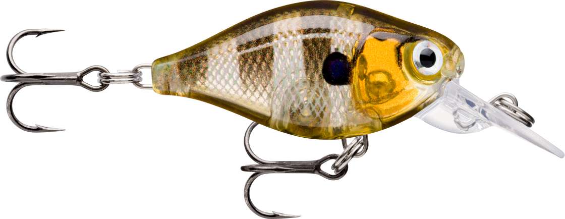glassy gill uv