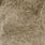 light hares ear gold