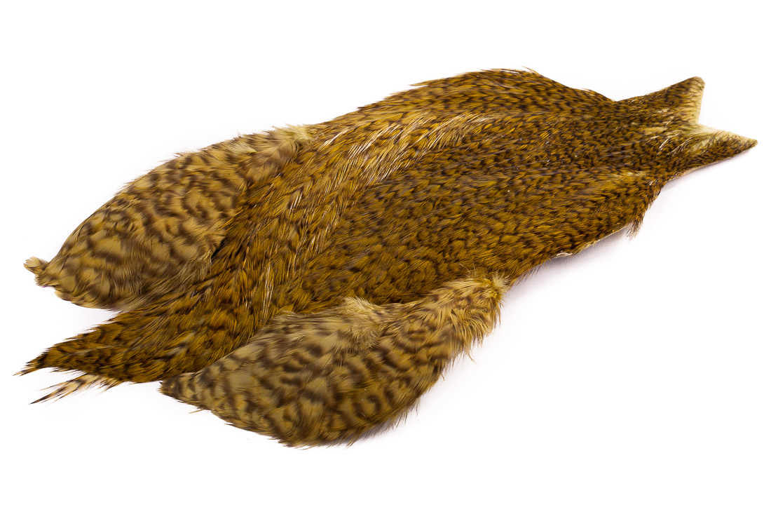 grizzly olive