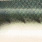 SK 0200