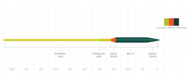 P-19175_Scientific_Anglers_Seatrout_Volantis_Integrated_Fly_Line_Intermediate_Sink3_2