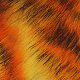fire tiger black barred