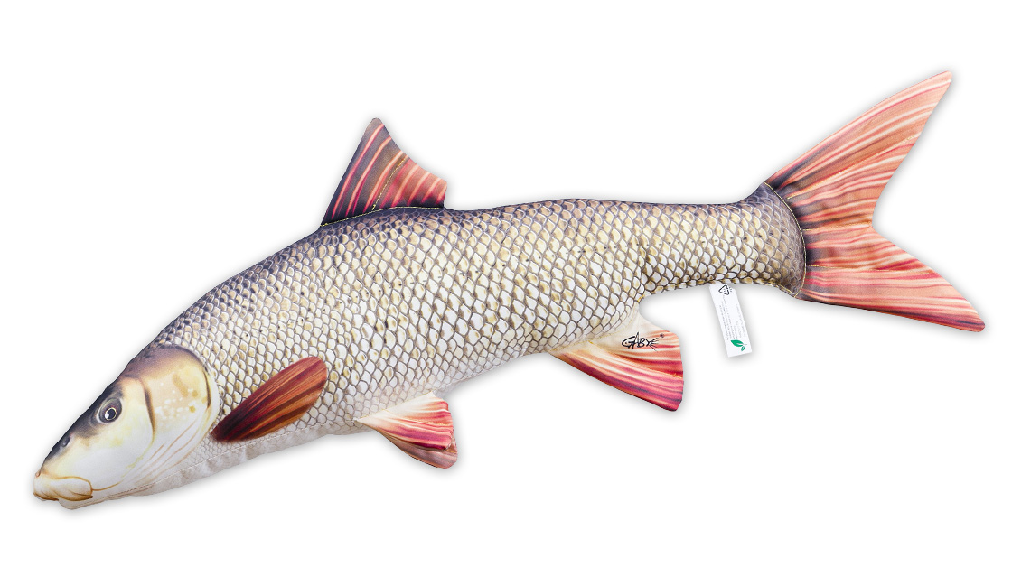 P-29178_Fischkissen_Kuscheltier_Barbe_80cm_1 Fish Pillow Soft Toy Barbel 80cm