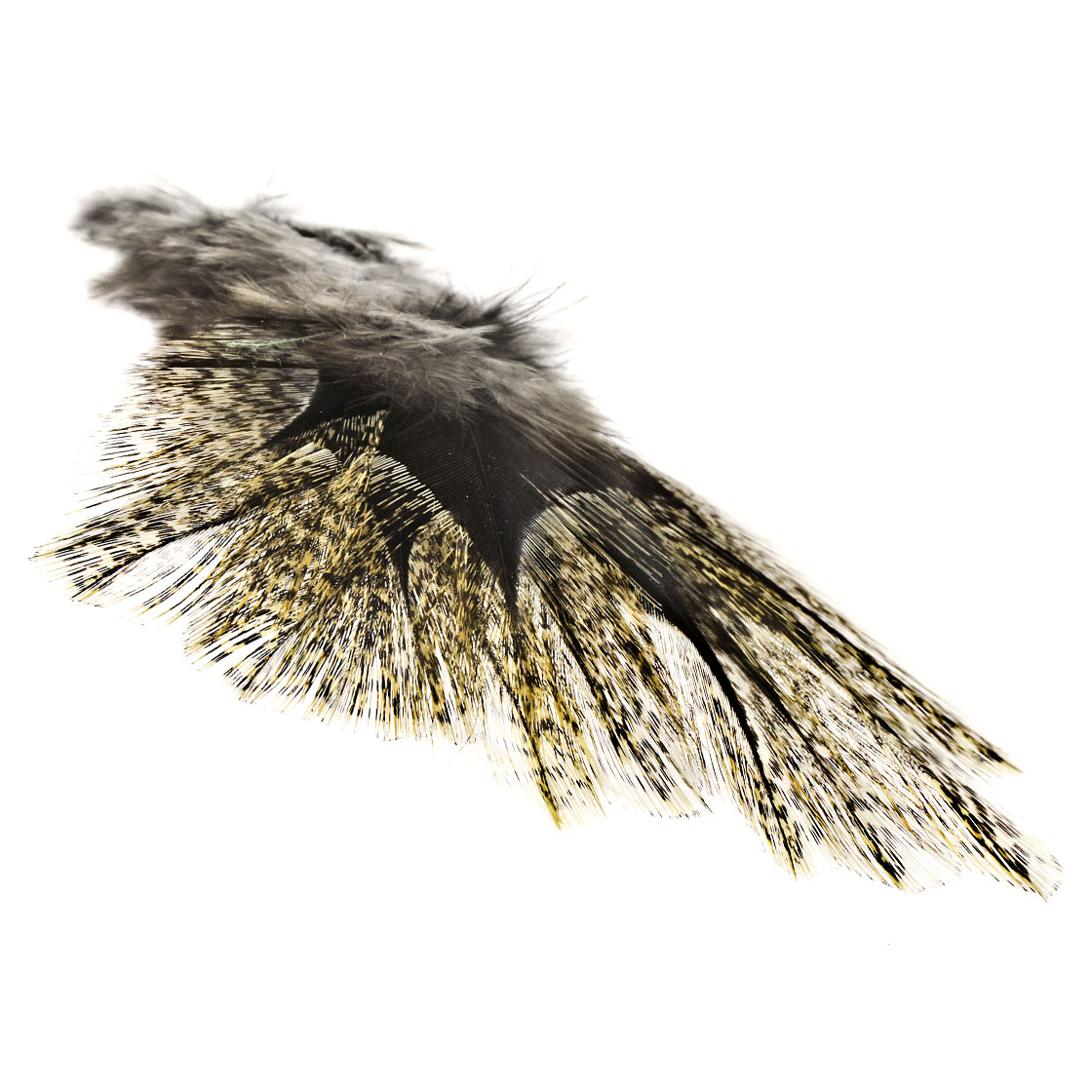 flor de escoba amarillento