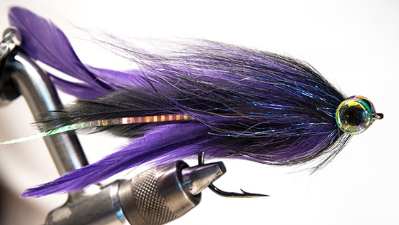 Fly Tying Video: Purple Brush