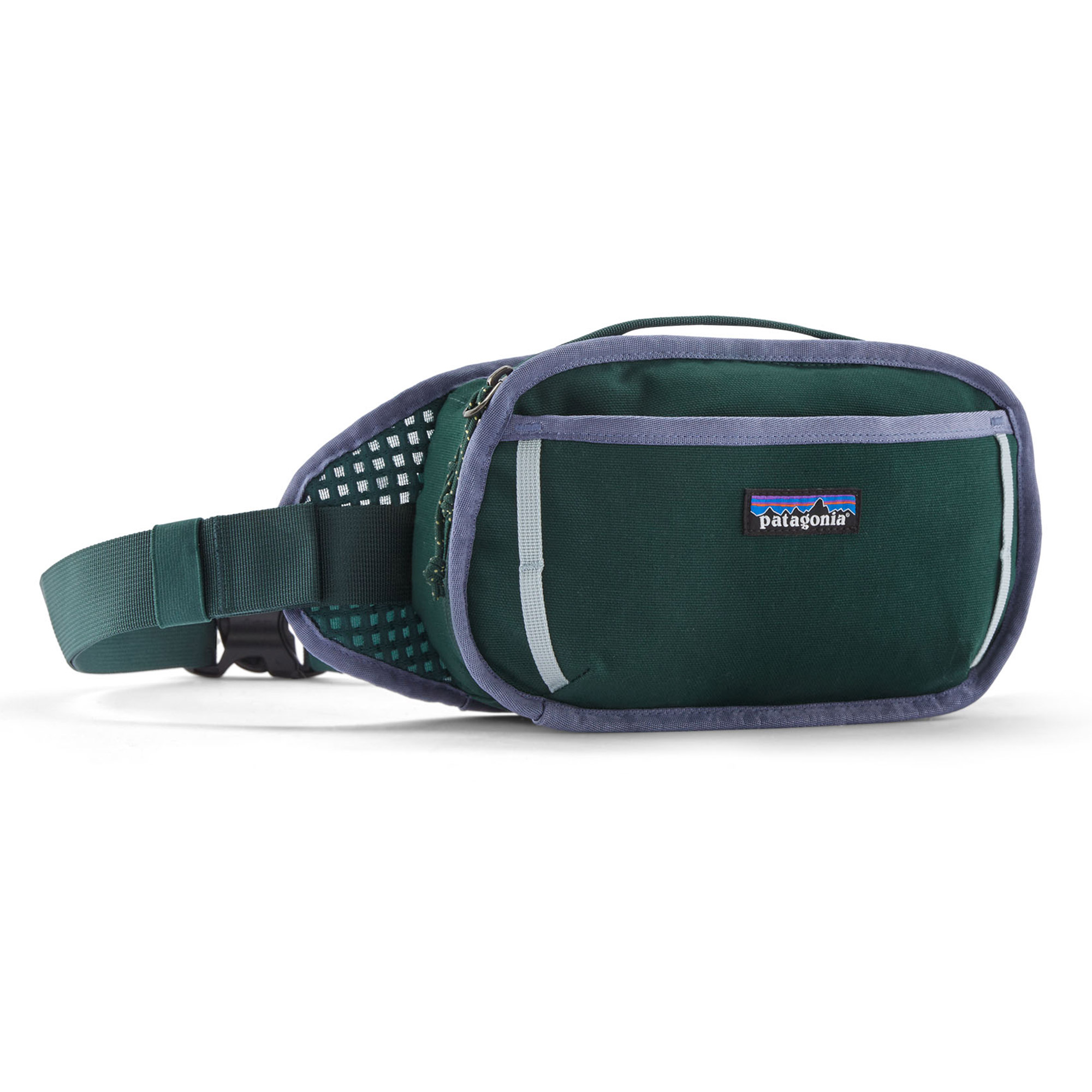 Patagonia Fieldsmith Hip Pack 5L CASG