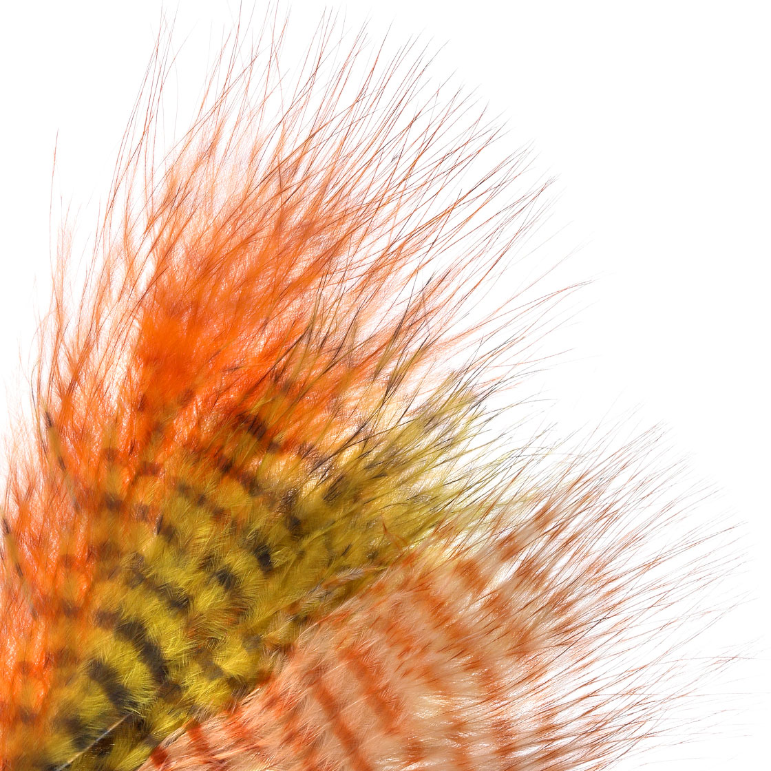 P-27105_mini-barred-marabou MFC Mini Barred Marabou Grizzly Mini Marabou Feathers