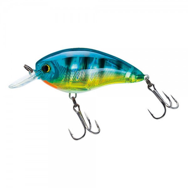 Holographic Bluegill