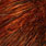 burnt orange
