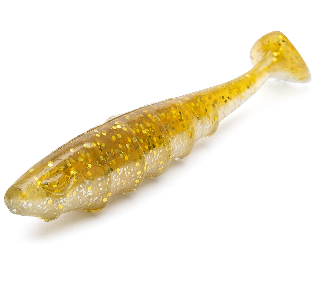 Nays_PRDTR_C-06_1 C-06