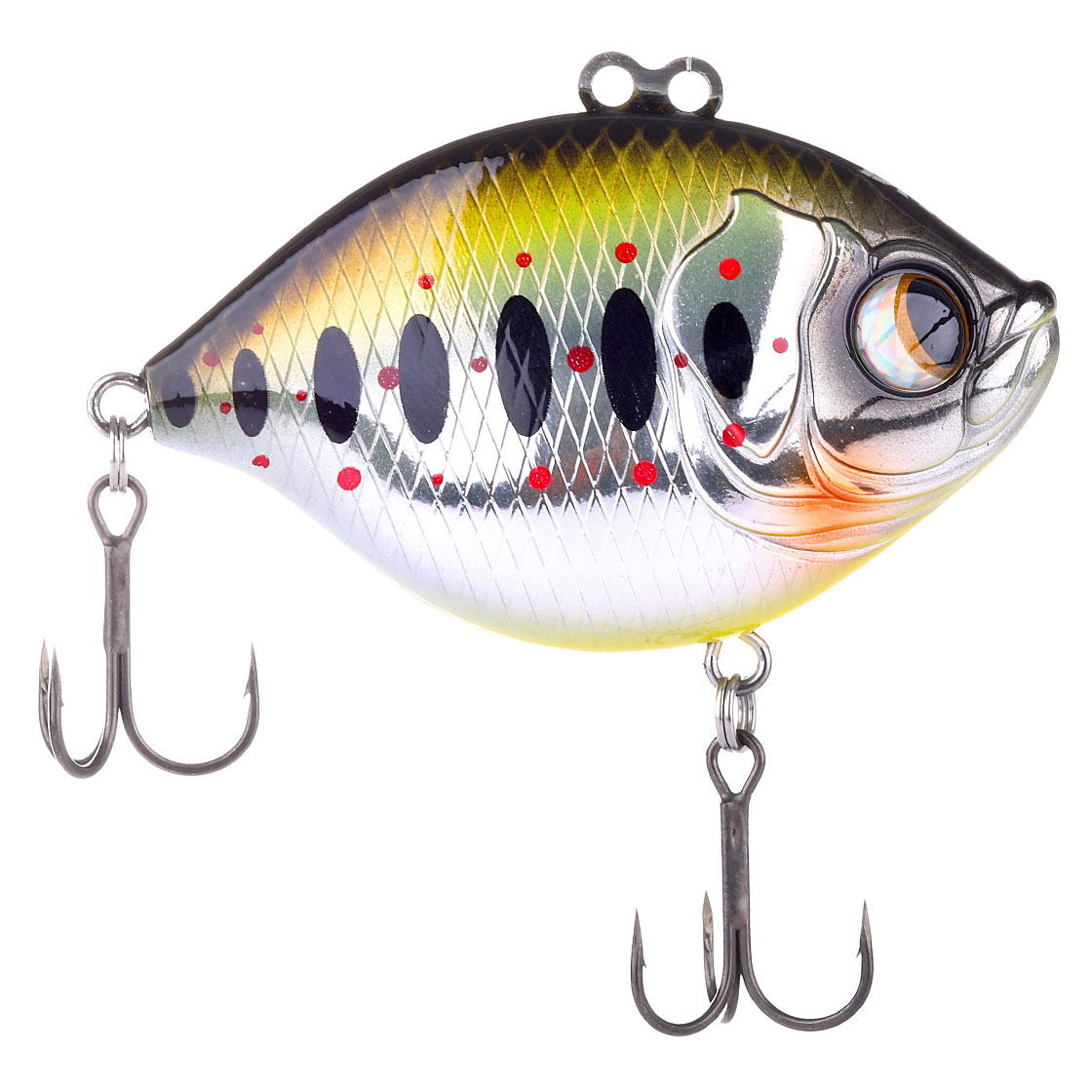 Asian Trout #47