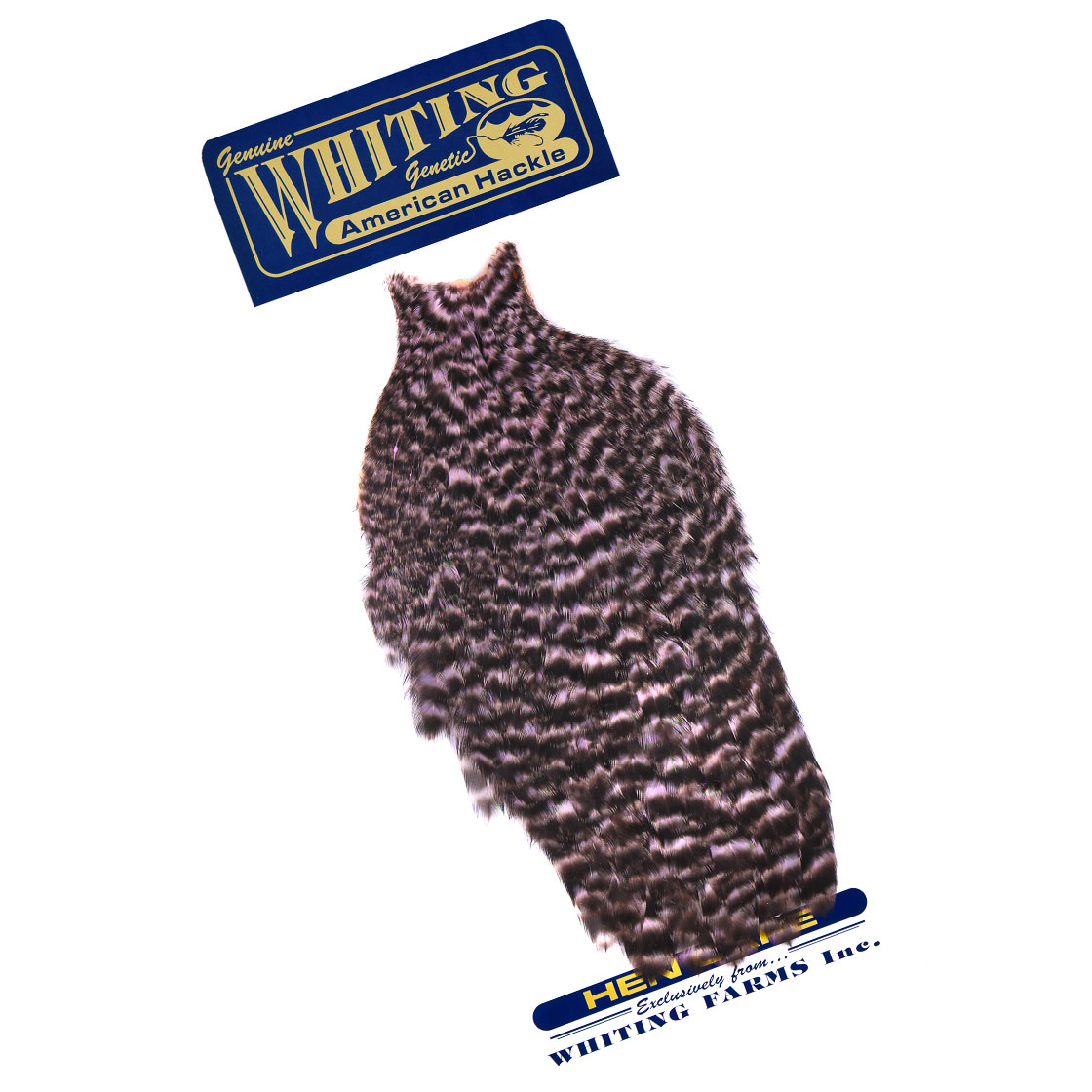 grizzly dyed shell pink