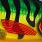 hot tiger pike