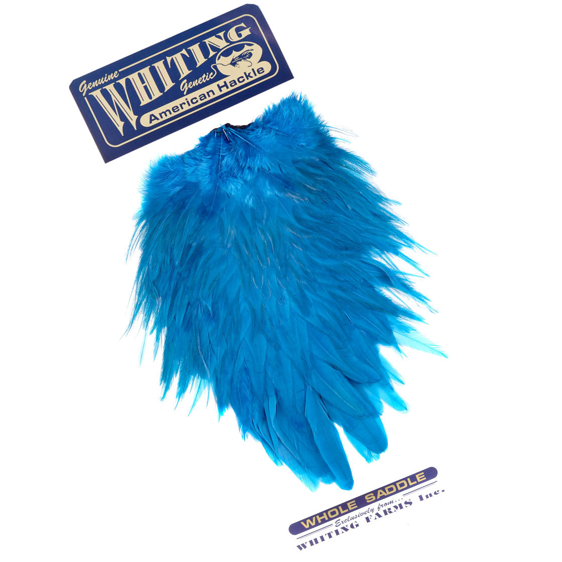 white dyed kingfisher blue