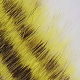 chartreuse & white black barred