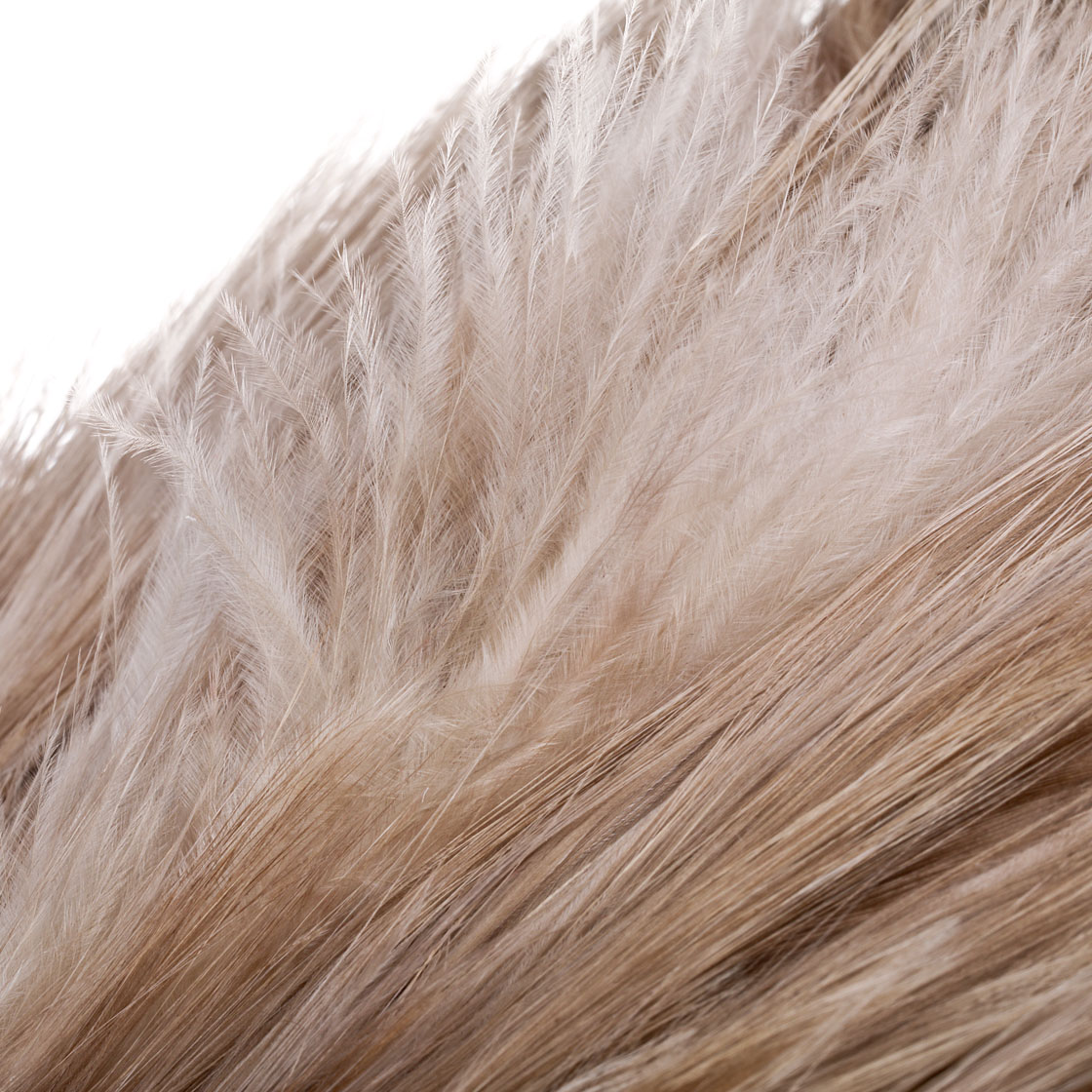 P-25387_Whiting-Bronze-Spey-Hackle-Saddle_detail