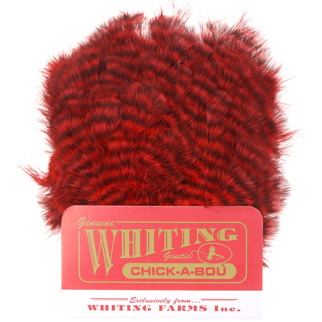grizzly red