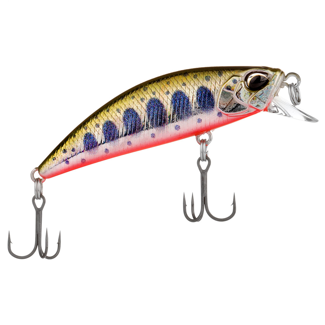 Yamame Red Belly