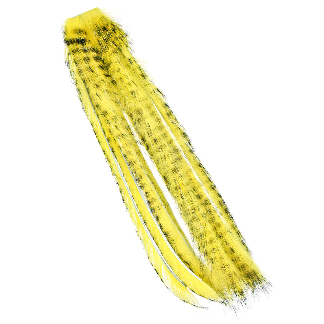Yellow Black Barred