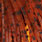 rust