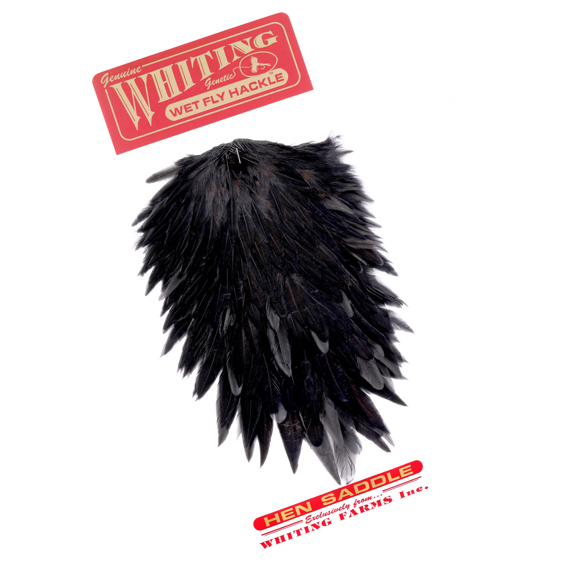 P-29039_Whiting-Hen-Saddle-Black Whiting Hen Saddle Black