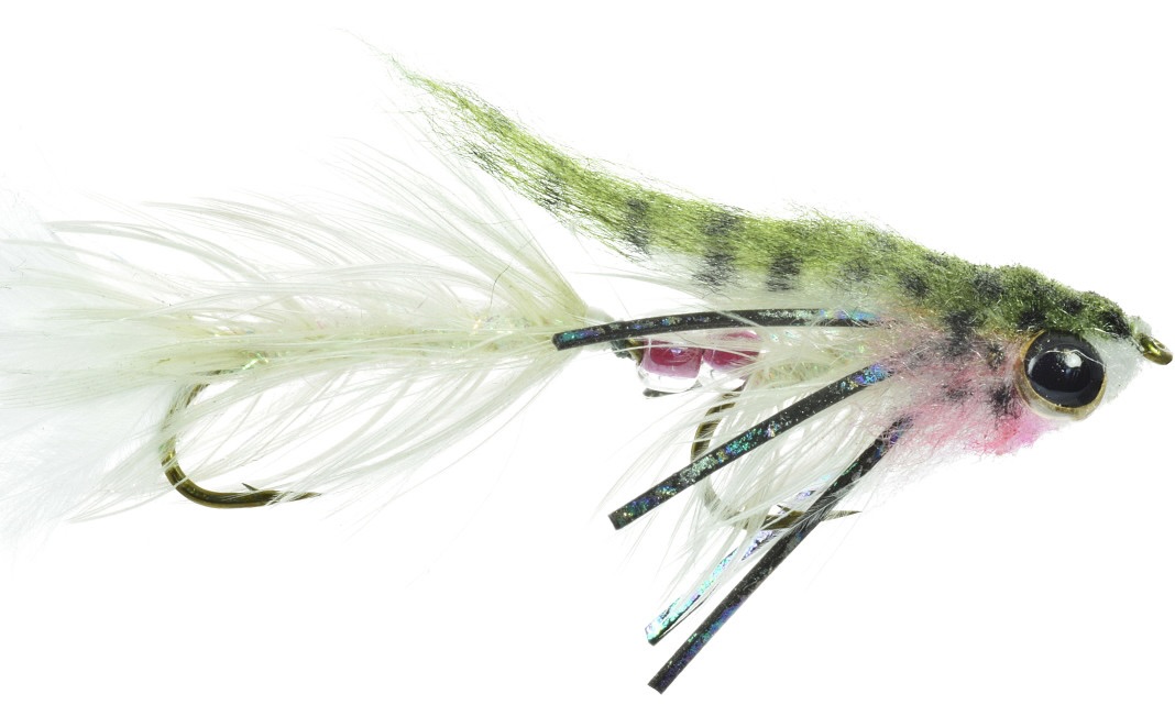 Umpqua Streamer Baby Gonga Rainbow #8
