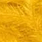 lion yellow