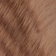 ginger brown barred
