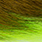 fluo chartreuse