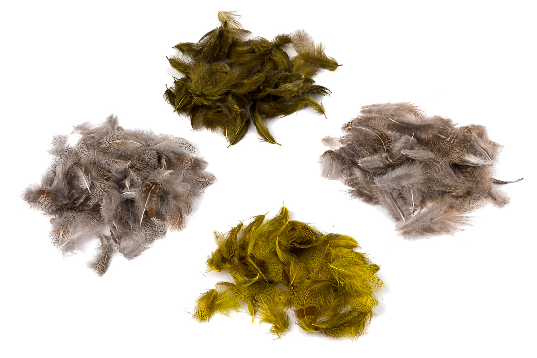 veniard_english_partridge_title