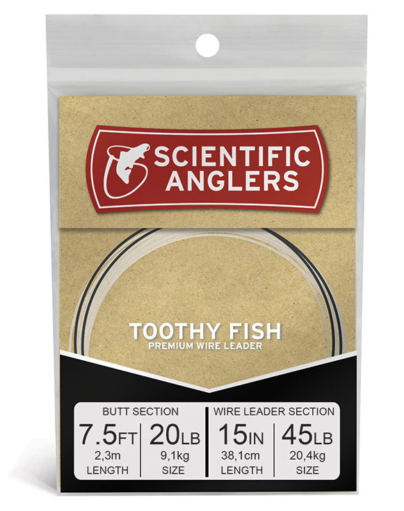 Toothy Fish