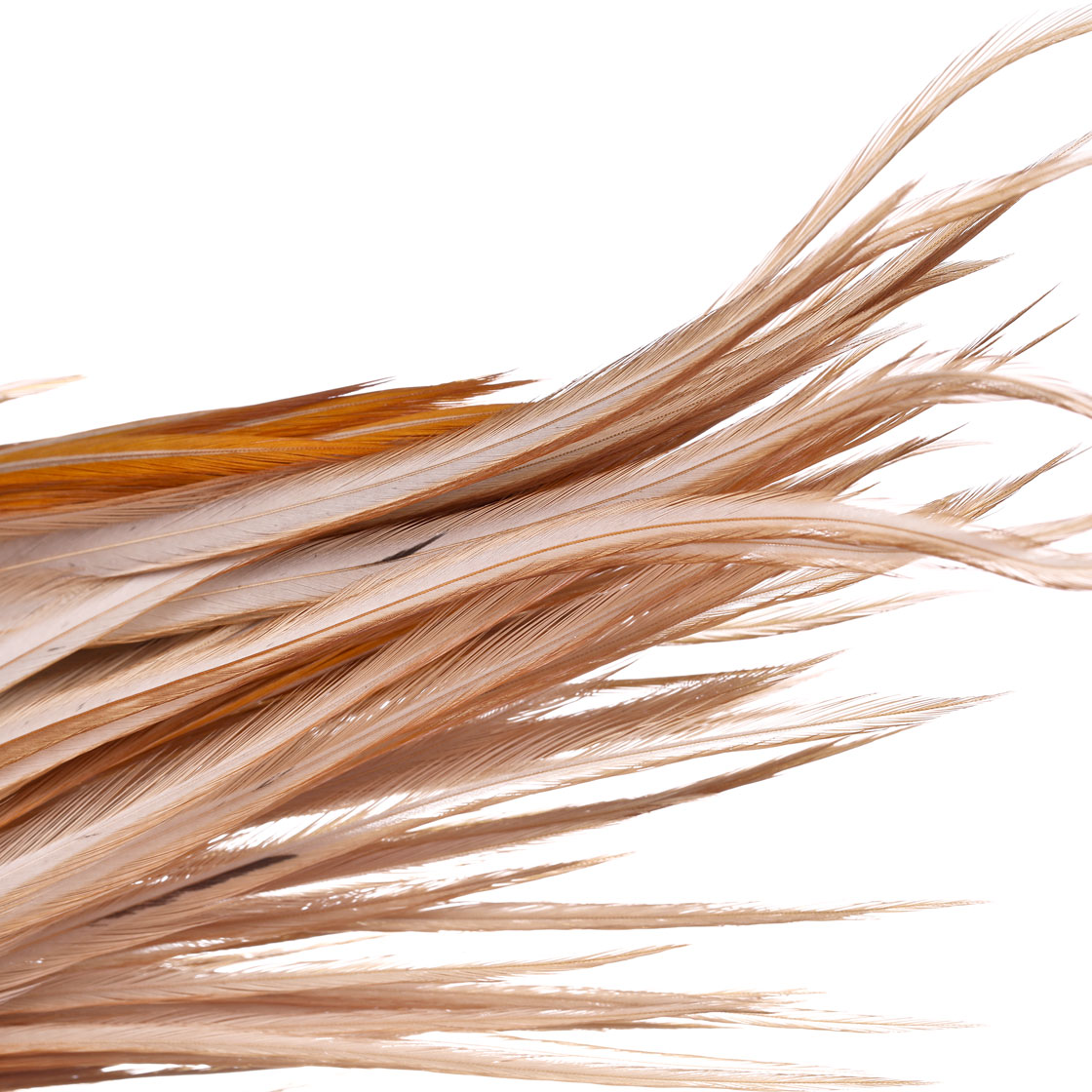 P-25419_Whiting-Bronze-Cape_detail_1oL8tOtJxjEsvP