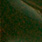 green pumpkin