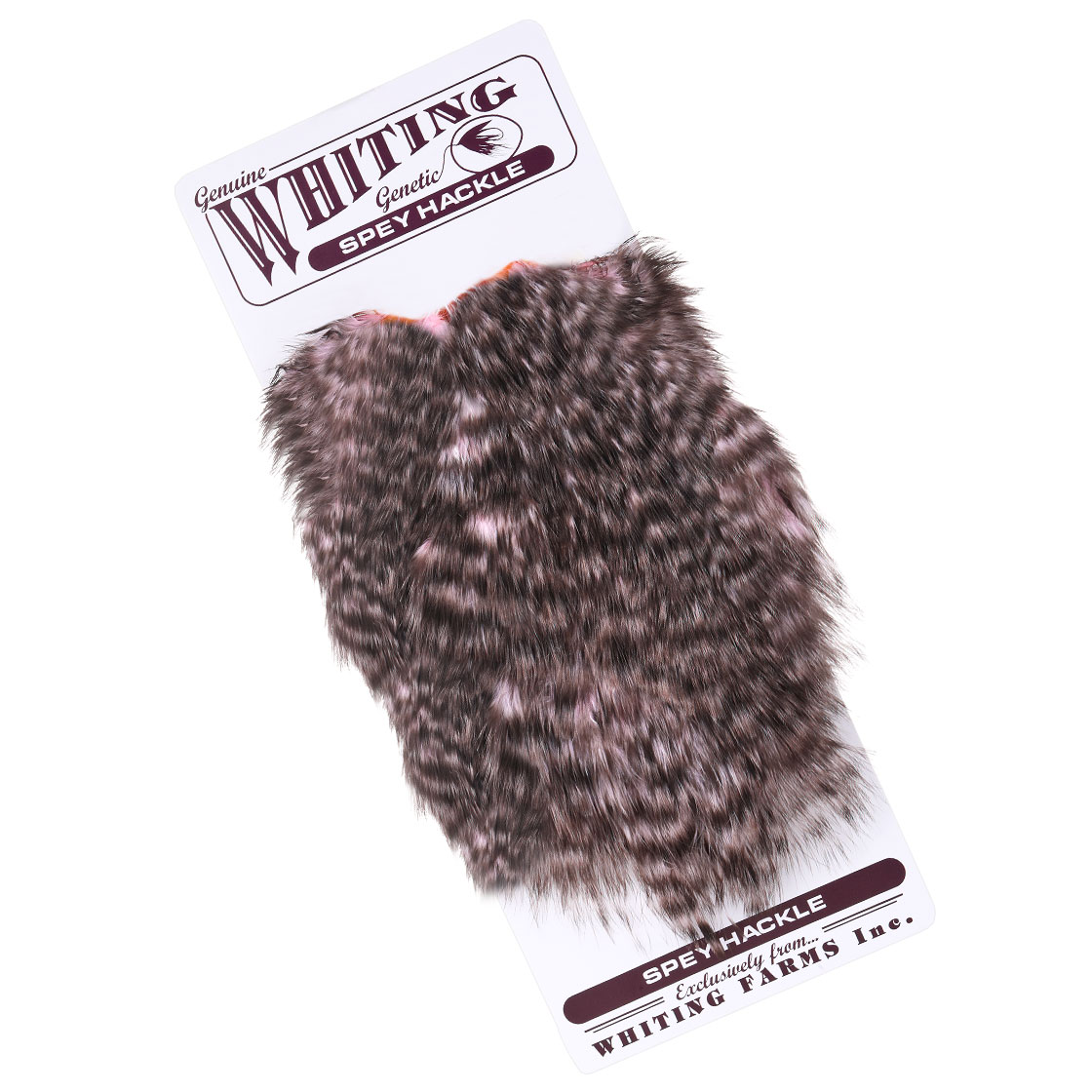 P-25403_Whiting-Spey-Hackle-Hen-Saddle-Grizzly-dyed-Shell-Pink