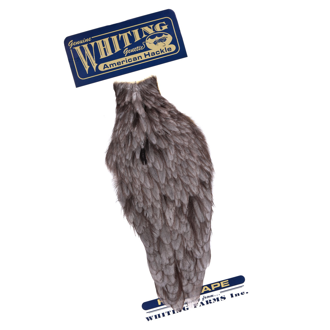 P-25377-1_Whiting-American-Hen-Cape_dark-dun dark dun