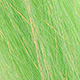 chartreuse