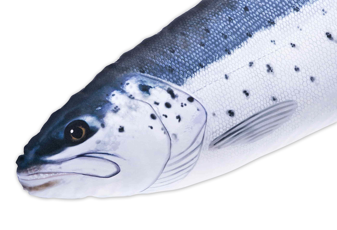 P-29211_Fischkissen_Kuscheltier_Meerforelle_110cm_detail Fish Pillow Soft Toy Sea Trout 110cm