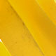 waxworm yellow