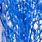 blue uv barred