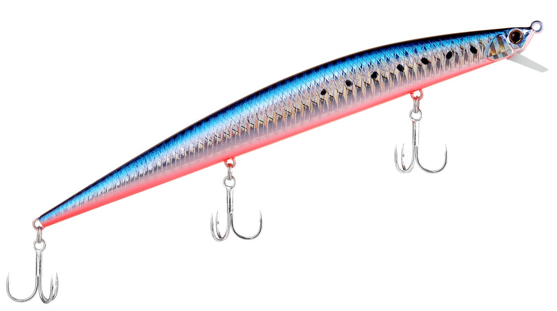 Mazume Sardine