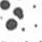 Clear base/Black dots