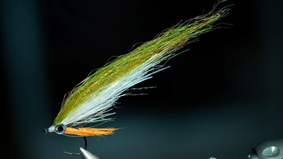 Tying Video 'Perch Flesh' Baitfish Streamer with Florian Gräser