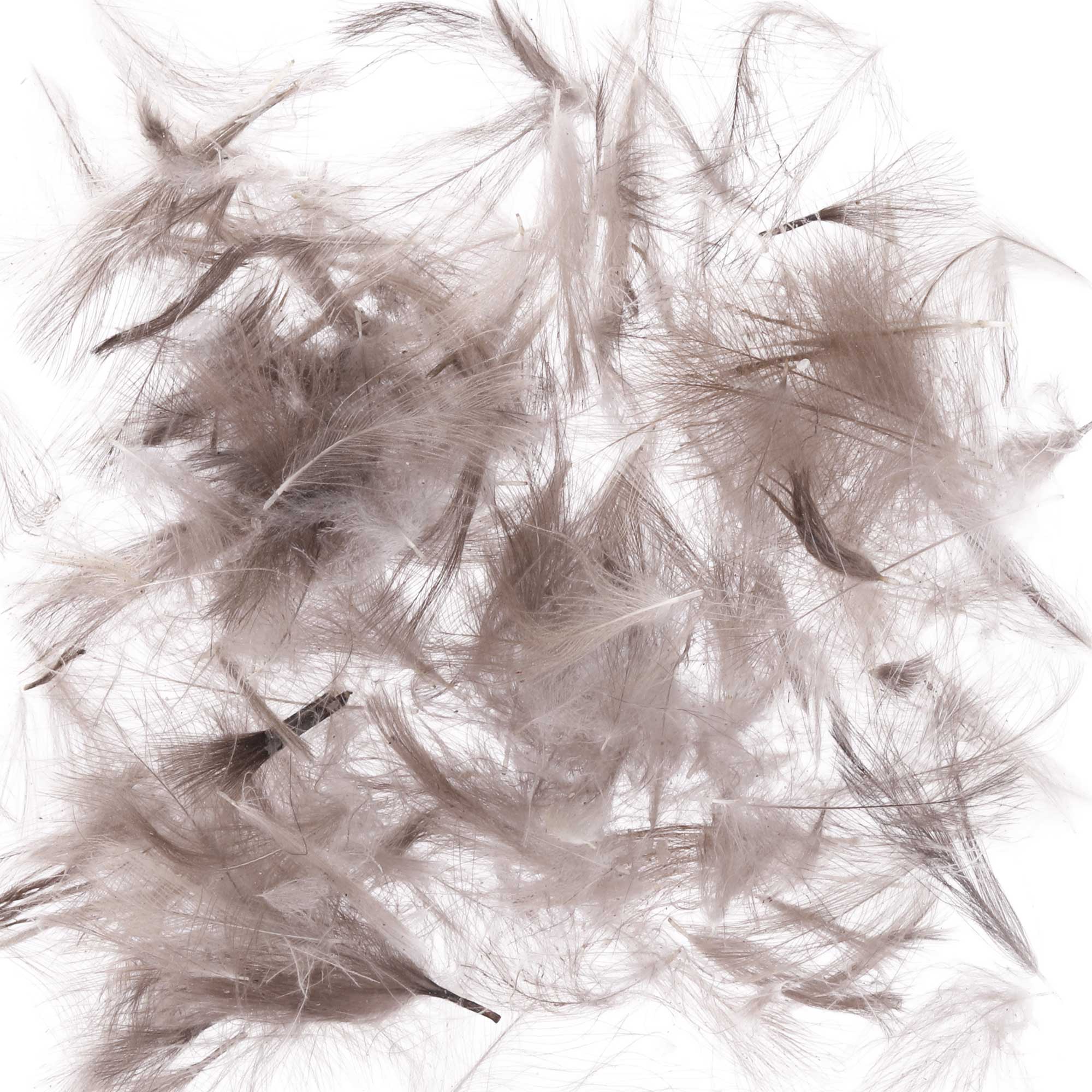 Soldarini Wild CDC Feather 0.6 g Pack