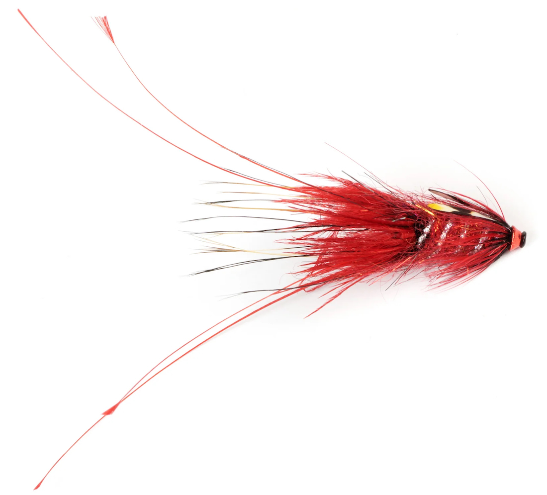 P-25332_Frodin_Flies_Pig_Series_Bloody_ Frödin Flies Tube Fly Pig Series - Bloody