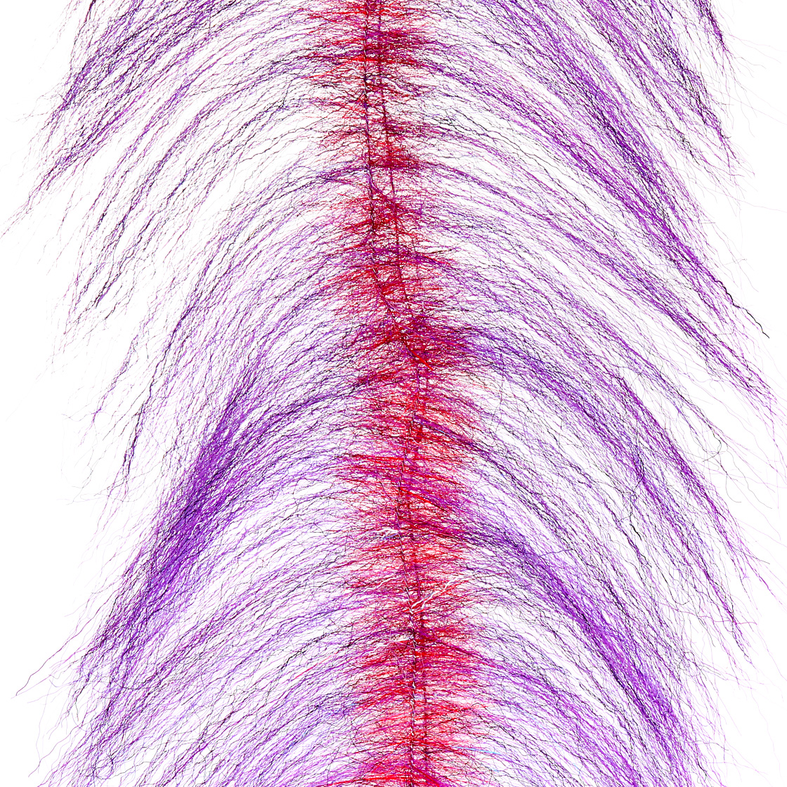 purple 3dx