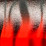 red tiger