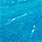 kingfisher blue