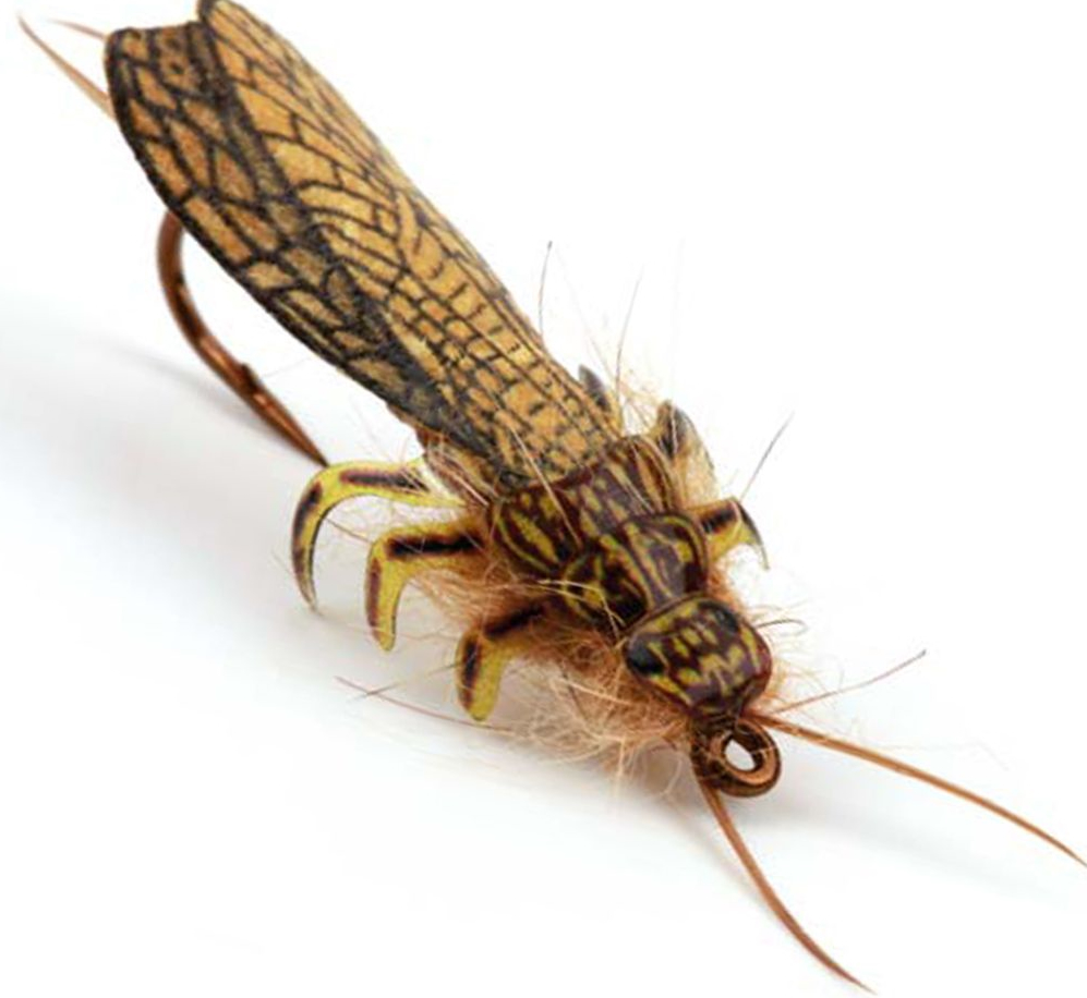 P-27705_Pro_Sportfisher_Adult_Stonefly_Wings_3 Bindebeispiel