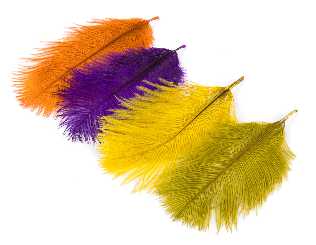 wapsi-ostricht-marabou-title-4